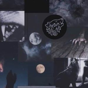 Meet your Posher, Tia